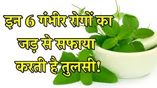इन 6 गंभीर रोगों का जड़ से सफाया करती है तुलसी!