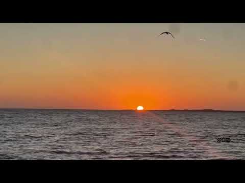 Sunset Recall: A Five-Minute Mind Reset for CEOs