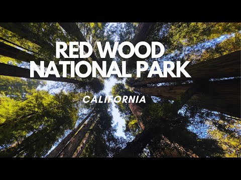 Redwood National Park-California