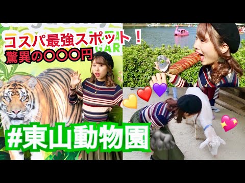 【コスパ最強！】東山動物園でスーパー充実させる1日