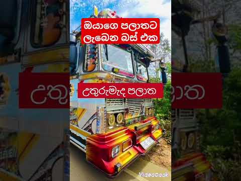 ඔයාගෙ පලාතට ලැබුන එක කමෙන්ට් කරන්න.