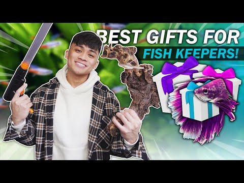 10 Gift Ideas for Fish Keepers that Don't Suck | 2025 GIFT GUIDE