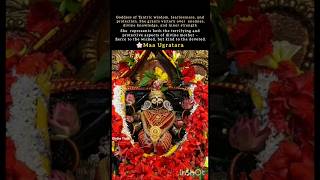 महाविद्या तारा का उग्र रूप हैं।#MaaUgratara #HiddenGoddess #Mahavidya #DivineTruth #TaraDevi #shorts