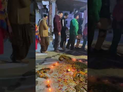 Govardhan puja 🙌🏻🙌🏻jai ho giriraj ji🙏🏻#harekrishna #radheradhe
