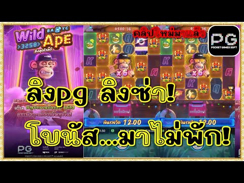 สล็อตpg สล็อตแตก ทุน1000 เกม Wild Ape pg เกม ลิง พีจี |ลิงpg ลิงซ่า! โบนัส มาไม่พัก