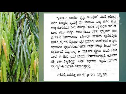 healthtips#ಅಶೋಕ ಮರ#healthy uses
