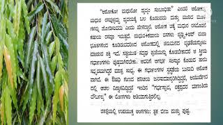 healthtips#ಅಶೋಕ ಮರ#healthy uses