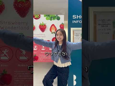 匂わせは嗅いだ方が悪いんだよ？🎀🫧