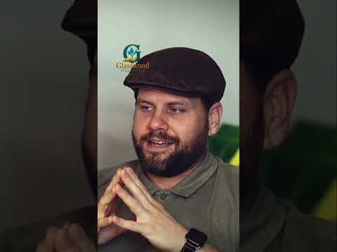 Best Time to Plant a Tree: A Friend's Wisdom #shorts