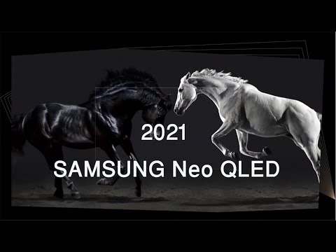 Samsung 4K 8K Neo QLED TV Demo