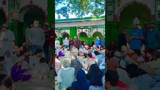 Nabi Nabi Ya #shortsviral #youtubeshorts #kaliyarsharifdargah #viralvideo #shortsvideo #viralshort