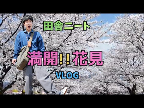 【花見満開vlog 】桜満開！ニーさんぽSPECIAL