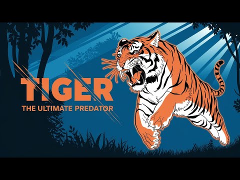 Why Tigers are the Most Powerful Cats