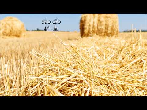 Chinese Picture Vocabulary - scarecrow | 看图学中文 - 稻草人 Pinyin