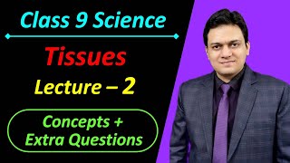 Lecture 2 Chapter 6 Tissues Class 9th Science