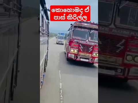 ආ😁පැටියෝ #bus#sl#automobile#1million#slmix#modification#srilankanbus#shorts#1k