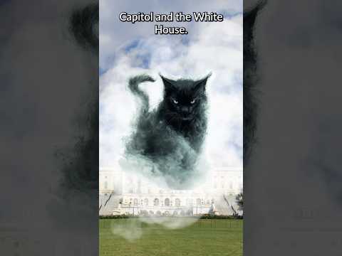 The Demon Cat of Washington DC & Capitol Building | Ghost Animals #paranormal #funfacts #scary