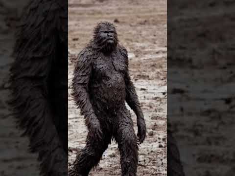 Weirdest Bigfoot Sighting? Strange Sasquatch Encounter Mexico, Missouri (1883) #paranormal #mystery
