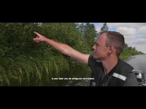 Alde Feanen Life+ Booming Business slotfilm