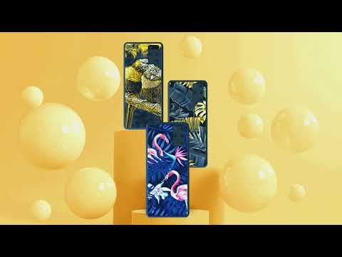3D Skins