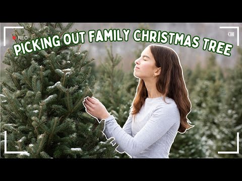 OUR BEST FAMILY CHRISTMAS TRADITION 🎄