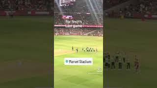 Melbourne stars form a guard of honour for finch’s last game #bigbashleague #bigbashleague2024