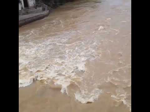 আসামের ব্রহ্মপুত্র নদের অসাধারণ প্রাকৃতিক সৌন্দর্য 🌺🌺  । ব্রহ্মময়ী তাঁরা