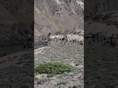 Ancient Glacial Gold Bearing Gravel Bar Sitting Over 500 Feet Above the Current River