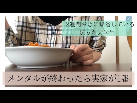 【メンタル限界】2週間おきに帰省するぼっち大学生