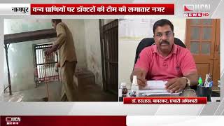 Nagpur : कान्हा में वायरस का खतरा, Maharajbagh Zoo on High Alert