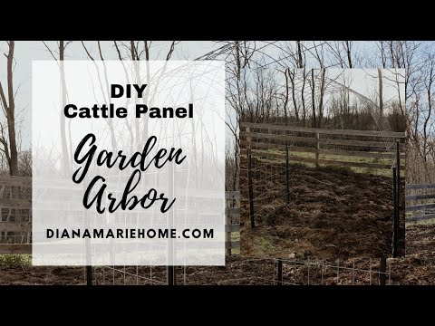 Easy Cattle Panel Arch Trellis: DIY Affordable Garden Arbor
