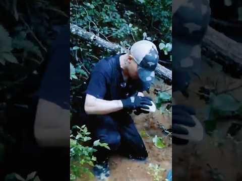 Gold Monster 1000 Went Off! .3g Picker Found