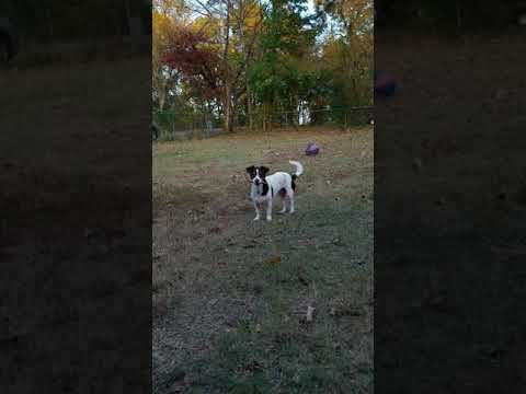 Willow and her biscuit