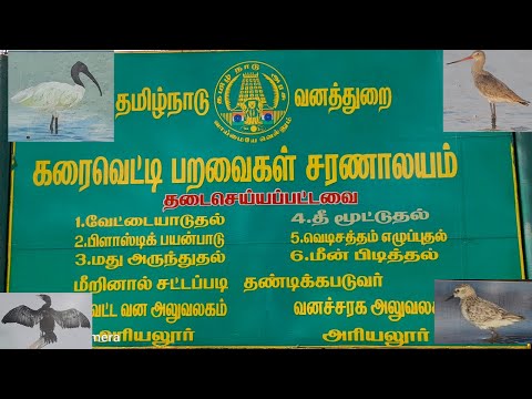 அரியலூர் அருகில் ஒரு வேடந்தாங்கல் பறவைகள் சரணாலயம் | Birds sanctuary near Ariyalur | Karaivetti