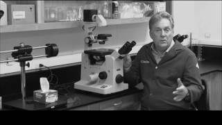 001 NeoGenesis - Our Next Generation of Stem Cell Science