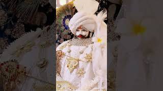 🚩🪔🪔बनकर तेरा सेवक पूजा तेरी करी🛎️Ikhatushyam #shorts #viral#youtubeshorts #shortfeed #viral#yt 🚩🚩🌹🌹