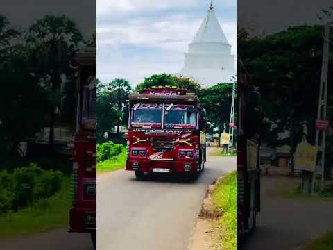 තිස්සමහාරාමයේ ඇවිල්ලා යන රතු බලකායේ පට්ට කෑල්ල❤️🙈  #Bus#automobile #modified #trending