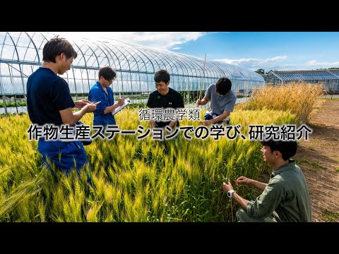 作物生産ステーションでの学び、研究紹介　｜　酪農学園大学　循環農学類　学類紹介