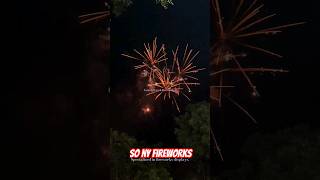 10 Star Fish from Sony Fireworks #shorts #sonyfireworks
