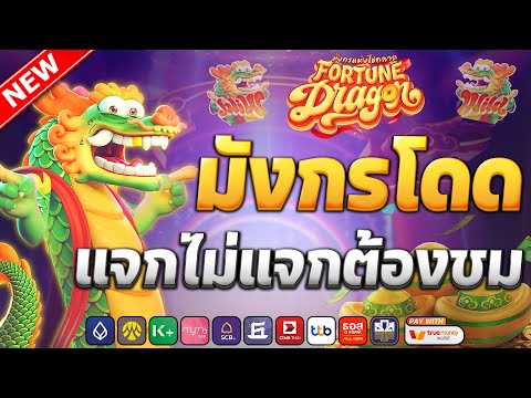 เว็บสล็อตเว็บตรง วอลเล็ต | ค่ายดีแตกหนักไม่มีขั้นต่ำ pg