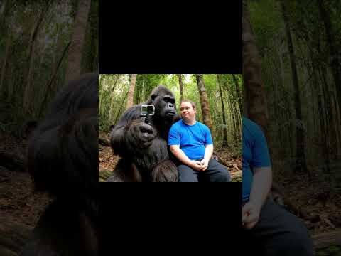 Bigfoot and Down-Z start working for the cartel! #funny #bigfoot