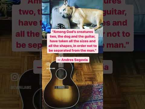 Dogs and Guitars!   #musicforkids #toddlerlife #childrensmusic #childrensmusician#toddlertime