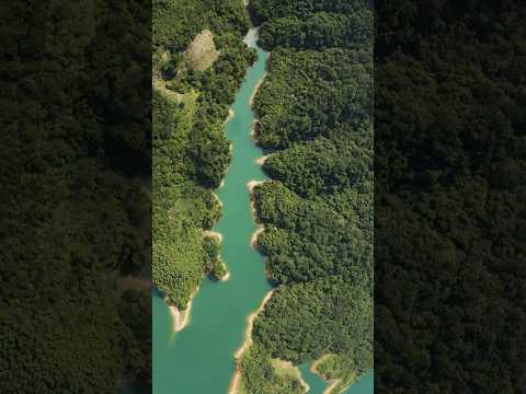 Nature scene #nature #natureandwellness #natureview #earth #life #greenry #vegetation #water