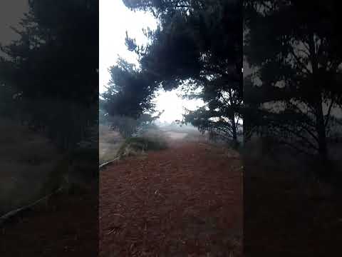 el tabo -tabito