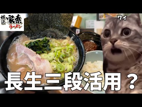 【 家系ラーメン】２０２５年の目標は健康？？それなら早死三段活用の逆をしろ！半ライスも頼めば健康さ！！という話【とんこつ家】#猫ミーム #猫マニ