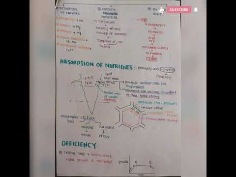 Mineral Nutrition Biology class 11 short notes #shorts #neet #facts  #notes #biology