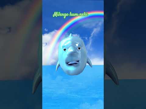 Mere jese milenge, milenge hum Nehi | talking dolphin #shorts #dol #dolphins #trending #trendingsong