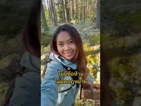 #คนไทยในต่างแดน ที่สวีเดนทุกคนมีสิทธิ์ในป่าไม้ เก็บอะไรก็ได้ ไม่ห่วงห้าม #ป่าสวีเดน #คนไทยในสวีเดน