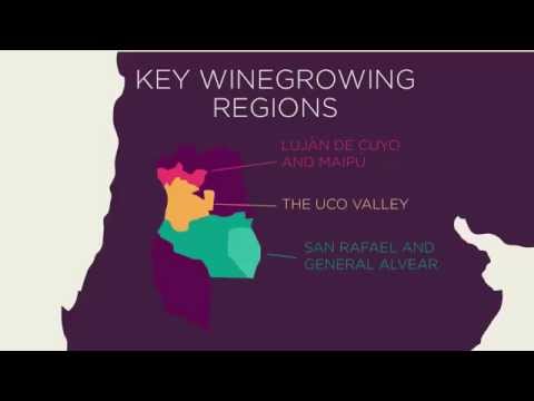 Discover Mendoza wines - VINOA