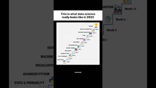 Data Science Really Looks like 2025🏆 #datascience #python #education #project #explore #shorts#viral